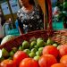 Porto, 07/10/2011: Feira Nacional de agricultura biológica no Pavilhão Rosa Mota
( Lisa Soares / Global Imagens )