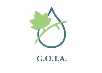 G.O.T.A