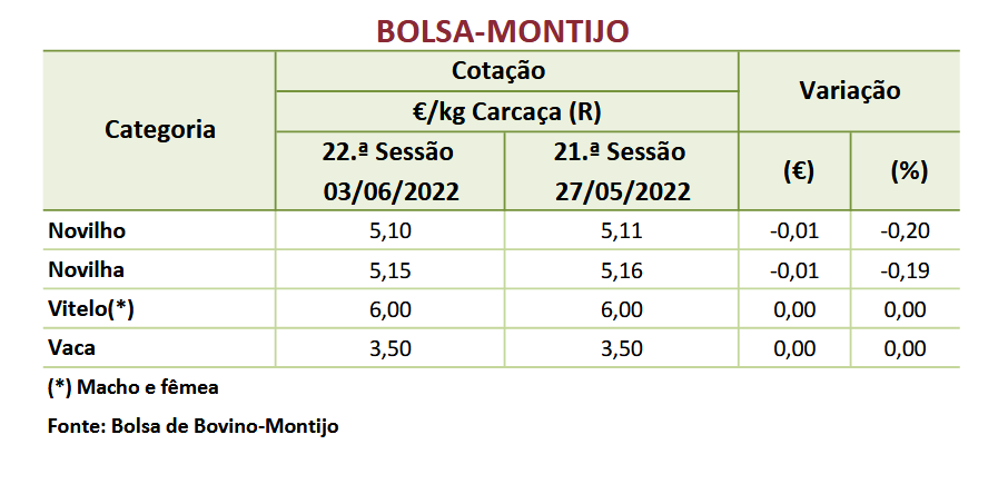 Cotações Bovinos