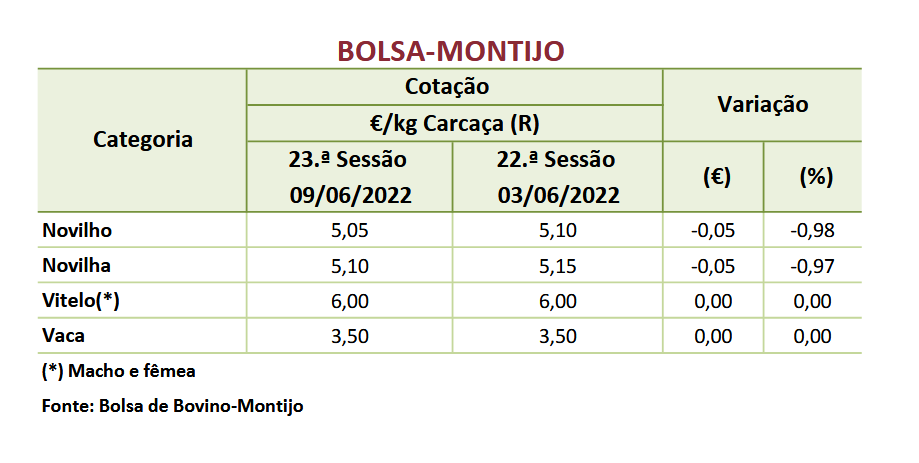 Cotações Bovinos