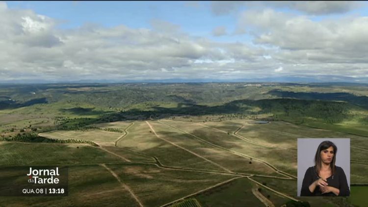 produção agrícola