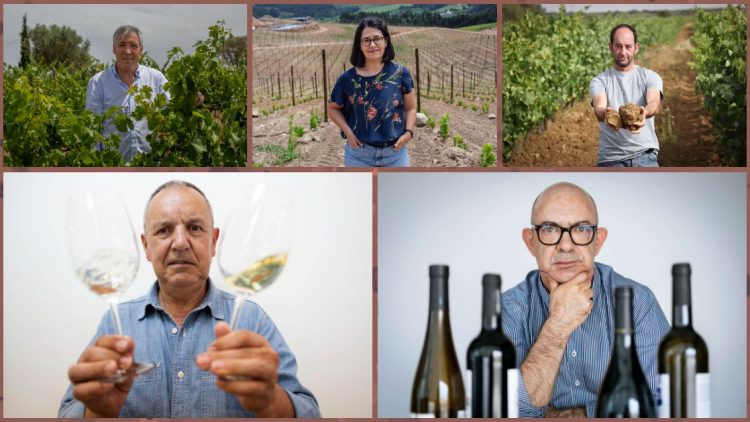 Terroir