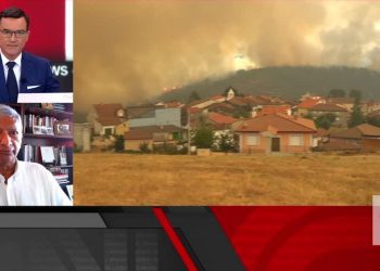 “A resposta tem sido adequada”. Coordenador do Centro de Estudos de Incêndios Florestais destaca capacidade de "proteção da vida"