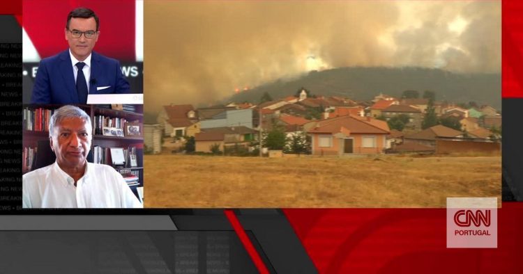 “A resposta tem sido adequada”. Coordenador do Centro de Estudos de Incêndios Florestais destaca capacidade de "proteção da vida"