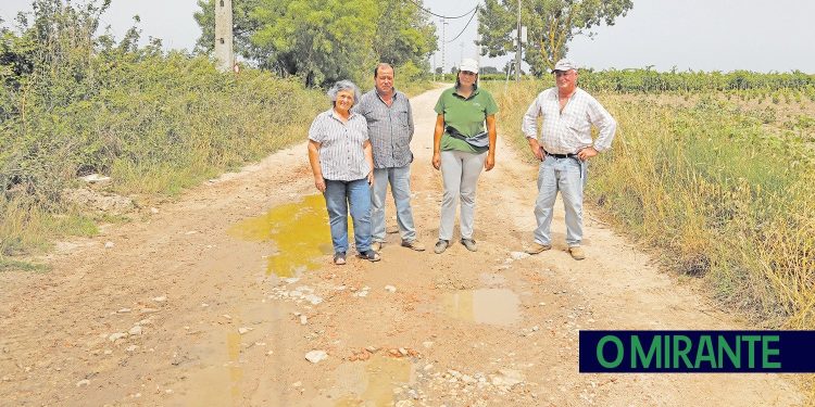 Agricultores das Caneiras com prejuízos devido ao mau estado das estradas