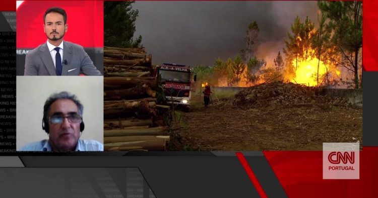 Agricultores preocupados com "flagelo dos incêndios"