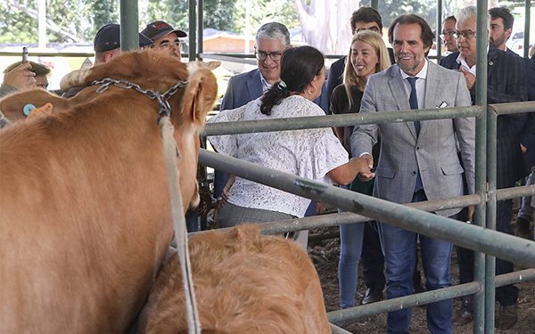 Albuquerque anuncia apoio de 3,4 milhões de euros para ajudar a manter preços na agricultura e na pecuária