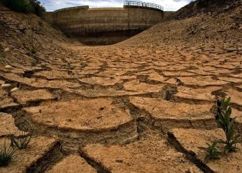 Alentejo preocupado com ano agrícola