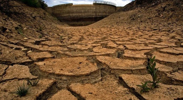 Alentejo preocupado com ano agrícola