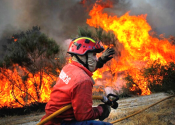 Alto Alentejo implementa videovigilância para prevenir incêndios