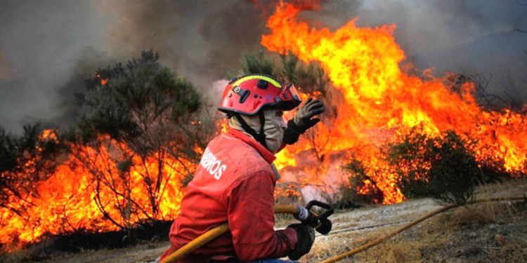 Alto Alentejo implementa videovigilância para prevenir incêndios