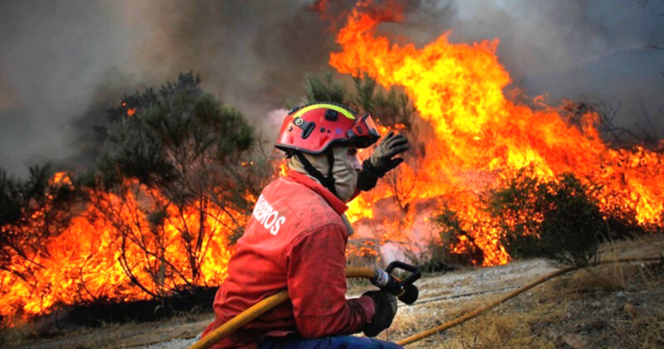 Alto Alentejo implementa videovigilância para prevenir incêndios