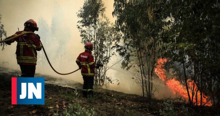 Área ardida em julho é mais do dobro da que ardeu no resto do ano