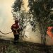 Área ardida em julho é mais do dobro da que ardeu no resto do ano