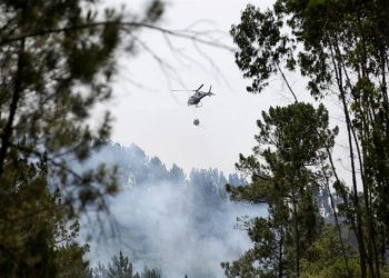 silves incendio