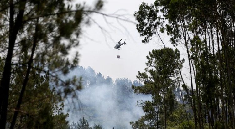 silves incendio