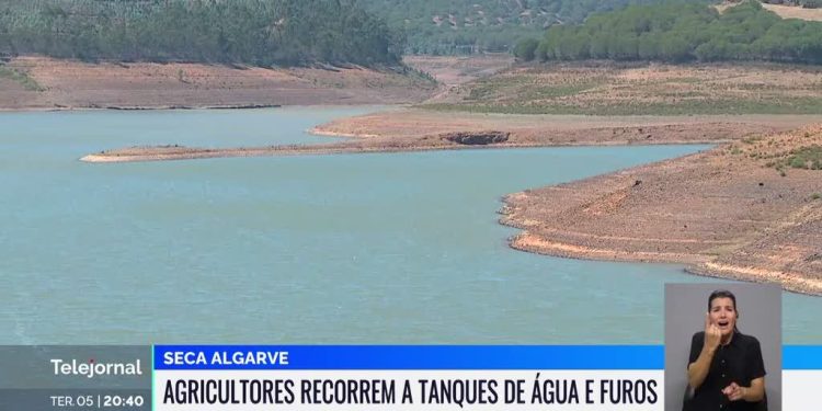 arragem da Bravura sem água para a agricultura