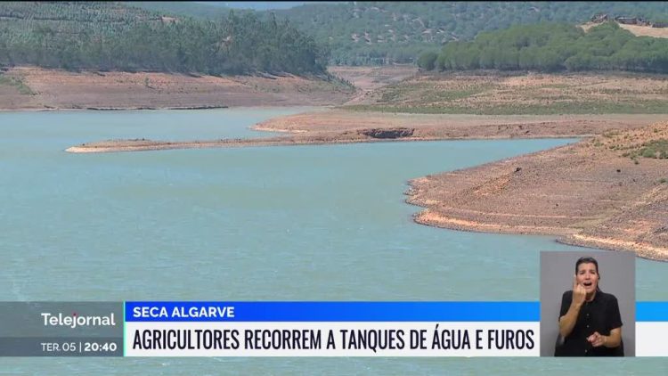 arragem da Bravura sem água para a agricultura