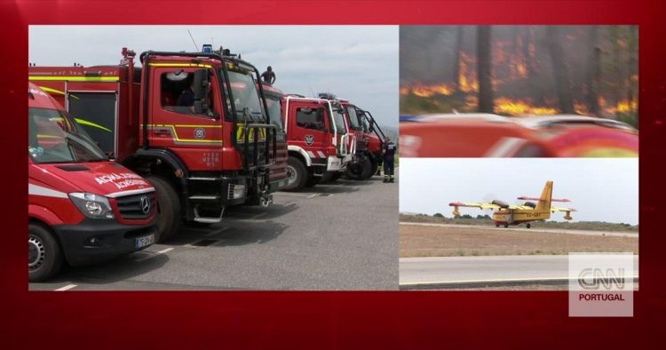 Castelo Branco: equipas de intervenção a postos para combater os fogos