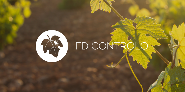 FD Controlo