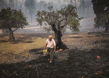 Dia infernal: Fogo ataca em várias frentes com críticas à resposta