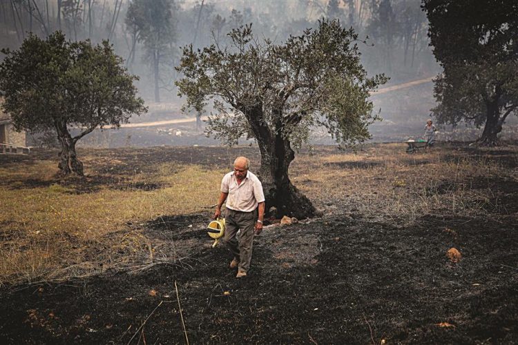 Dia infernal: Fogo ataca em várias frentes com críticas à resposta