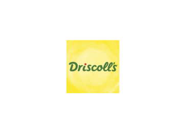Driscoll's logo