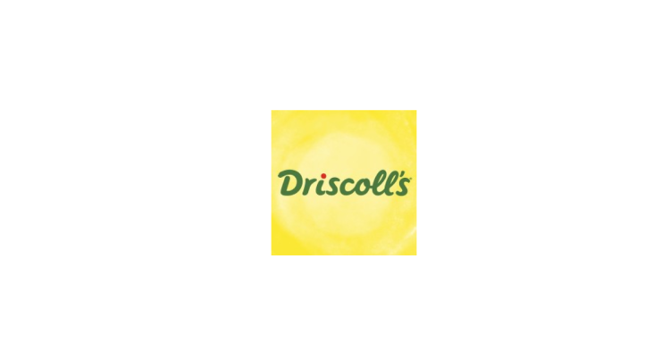 Driscoll's logo