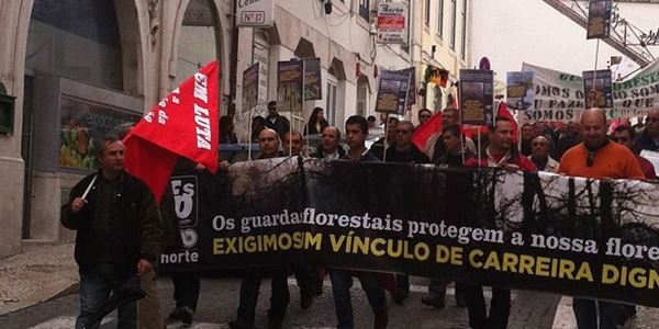Greve dos guardas-florestais: “Não somos nós que decidimos as situações climatéricas”