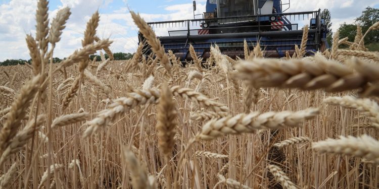 Guerra: Rússia e Ucrânia terão chegado a acordo para retirada de cereais
