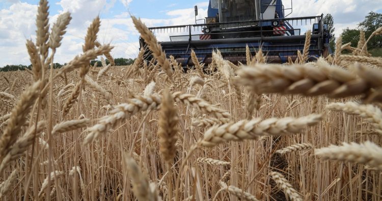 Guerra: Rússia e Ucrânia terão chegado a acordo para retirada de cereais
