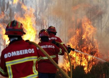 Incêndios no Algarve mobilizam 359 operacionais e 126 veículos. Há dois fogos que mais preocupam os bombeiros