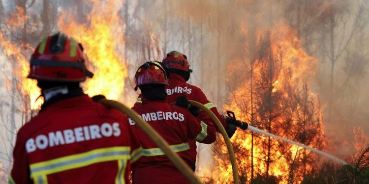 Incêndios no Algarve mobilizam 359 operacionais e 126 veículos. Há dois fogos que mais preocupam os bombeiros