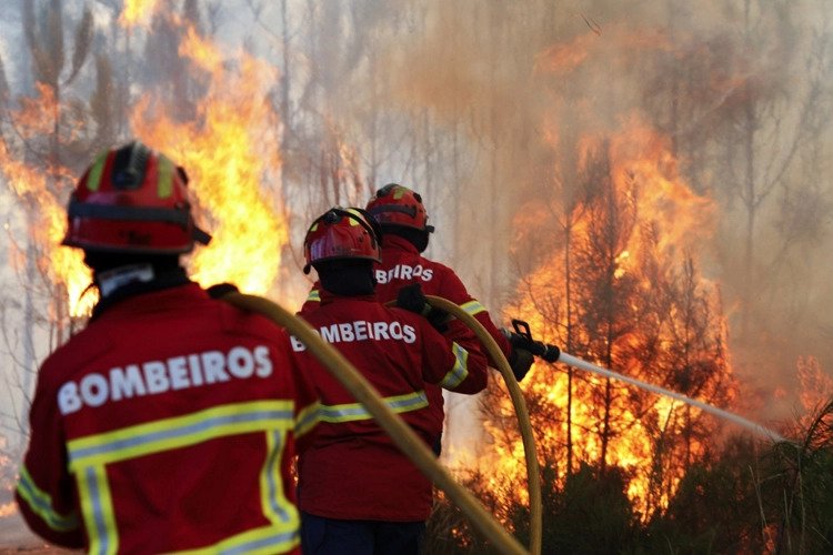 Incêndios no Algarve mobilizam 359 operacionais e 126 veículos. Há dois fogos que mais preocupam os bombeiros