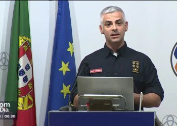 incêndios 43 mil hectares ardidos