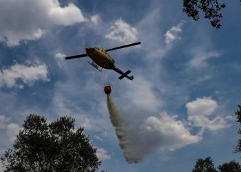 Incêndios: Quase todo o território do continente em perigo máximo e muito elevado