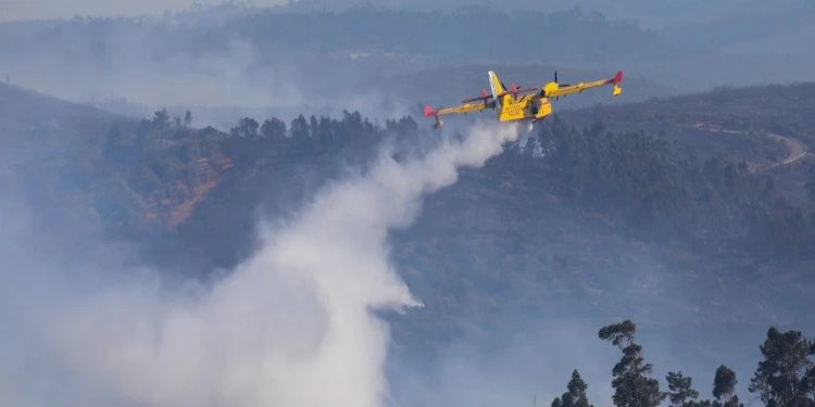 Maioria dos fogos dominada. É hora de fazer contas a prejuízos