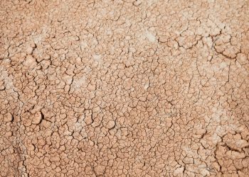 Onda de calor: especialistas preocupados com a falta de água