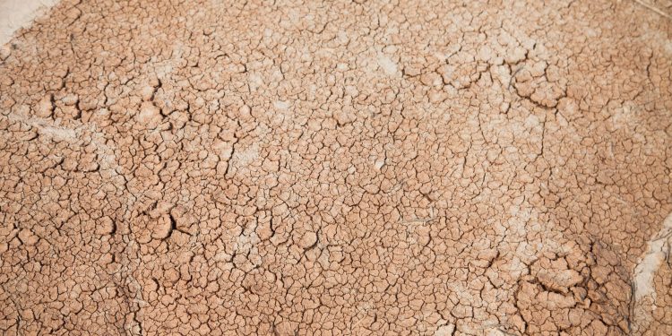 Onda de calor: especialistas preocupados com a falta de água