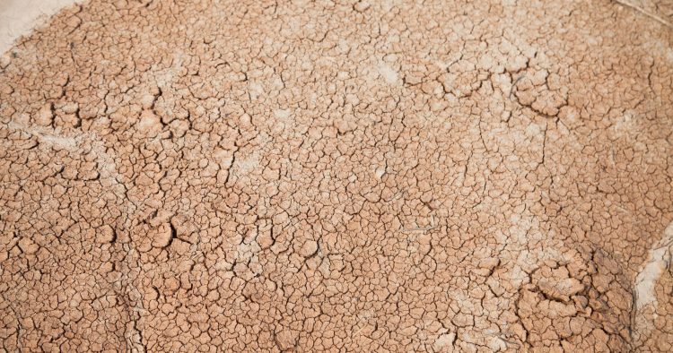 Onda de calor: especialistas preocupados com a falta de água