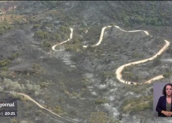 Portugal com maior área ardida desde os violentos fogos de 2017