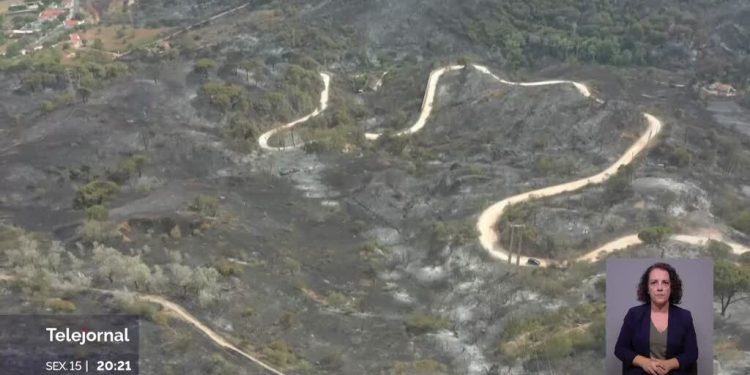 Portugal com maior área ardida desde os violentos fogos de 2017