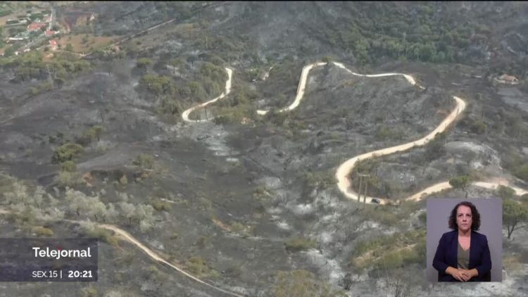 Portugal com maior área ardida desde os violentos fogos de 2017