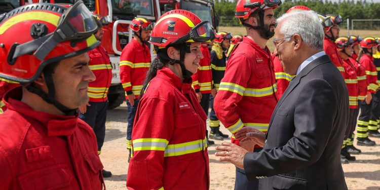 Primeiro-ministro: "Temos de reintroduzir a riqueza na floresta para que deixe de ser uma ameaça"