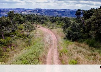 Serviços de limpeza de terrenos sem mão-de-obra e mais caros com país em risco máximo de incêndio