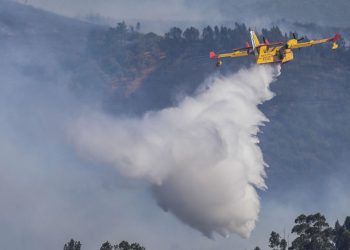 “Uma situação de risco extremo ou excecional”: o alerta vermelho estará no máximo na sexta feira, com 80% do país em risco de incêndio