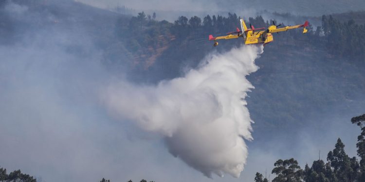 “Uma situação de risco extremo ou excecional”: o alerta vermelho estará no máximo na sexta feira, com 80% do país em risco de incêndio