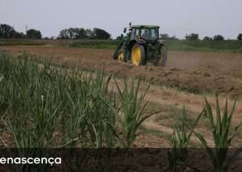 agricultura