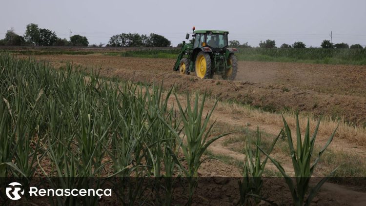 agricultura