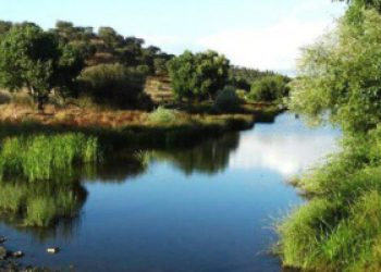 Barragem do Pisão